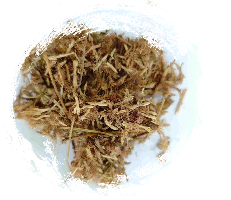 زهرة شجرة الحرير (Héhuān Huā)