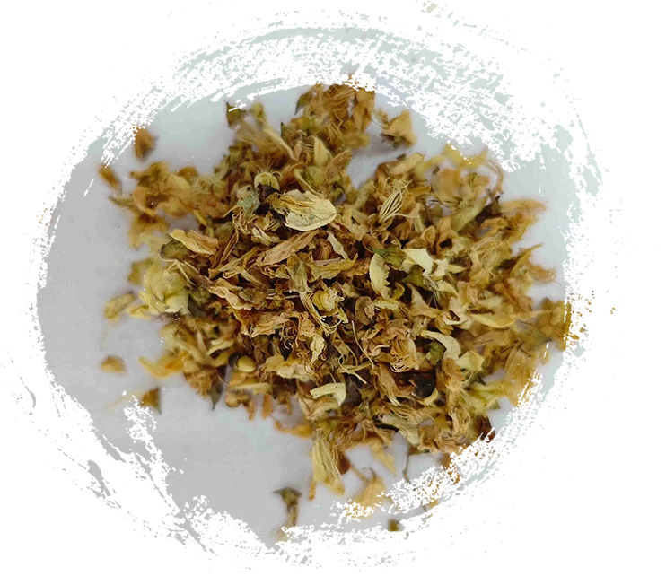 زهرة Sophora (Huái Huā)