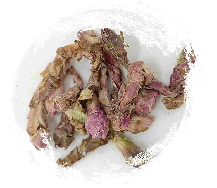 زهرة وينترهيلميت (kuǎndōng huā)