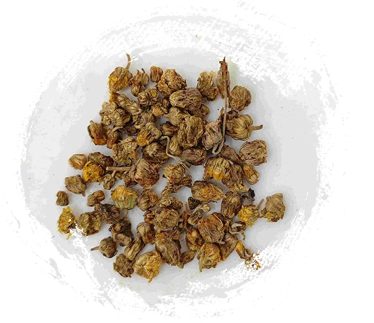 البرية chrysanthemum (yě jú huā)