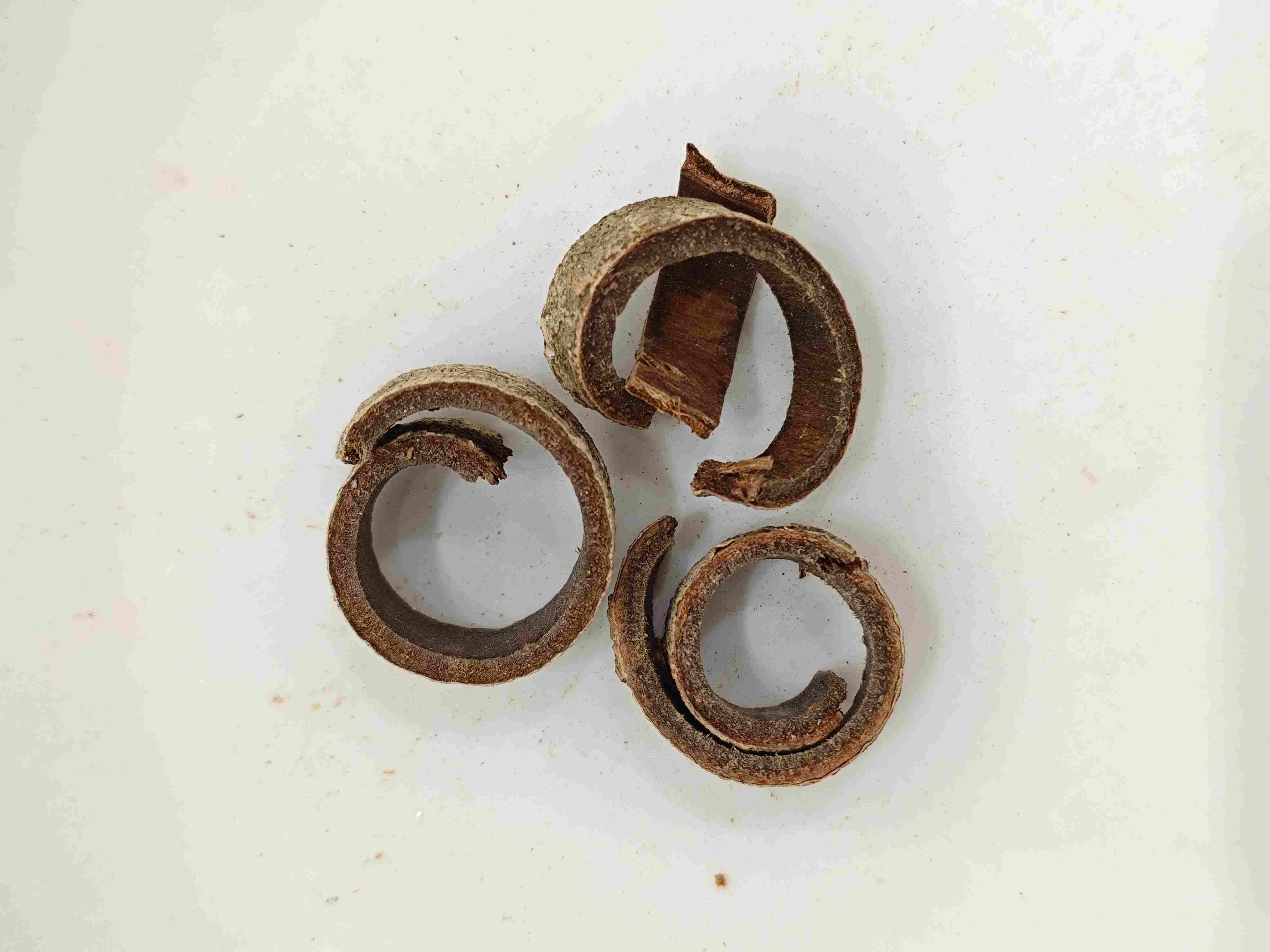 ماجنوليا بارك (hòupò)