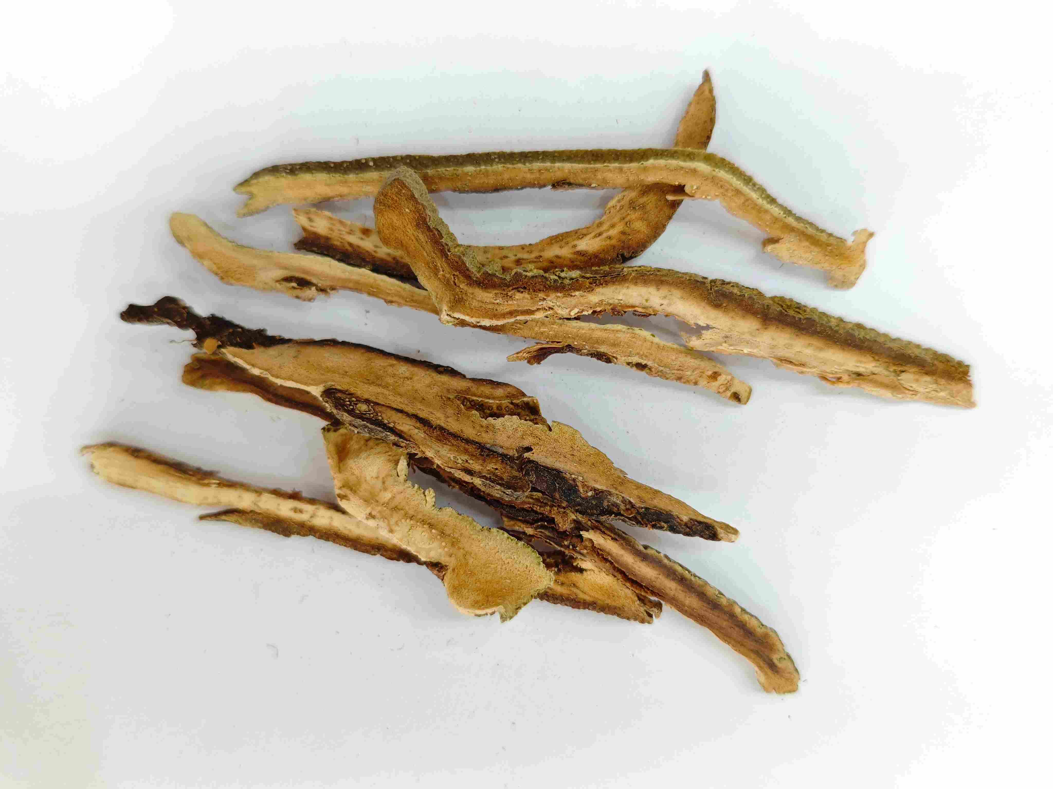 اليوسفي بيل الأحمر (júhóng)