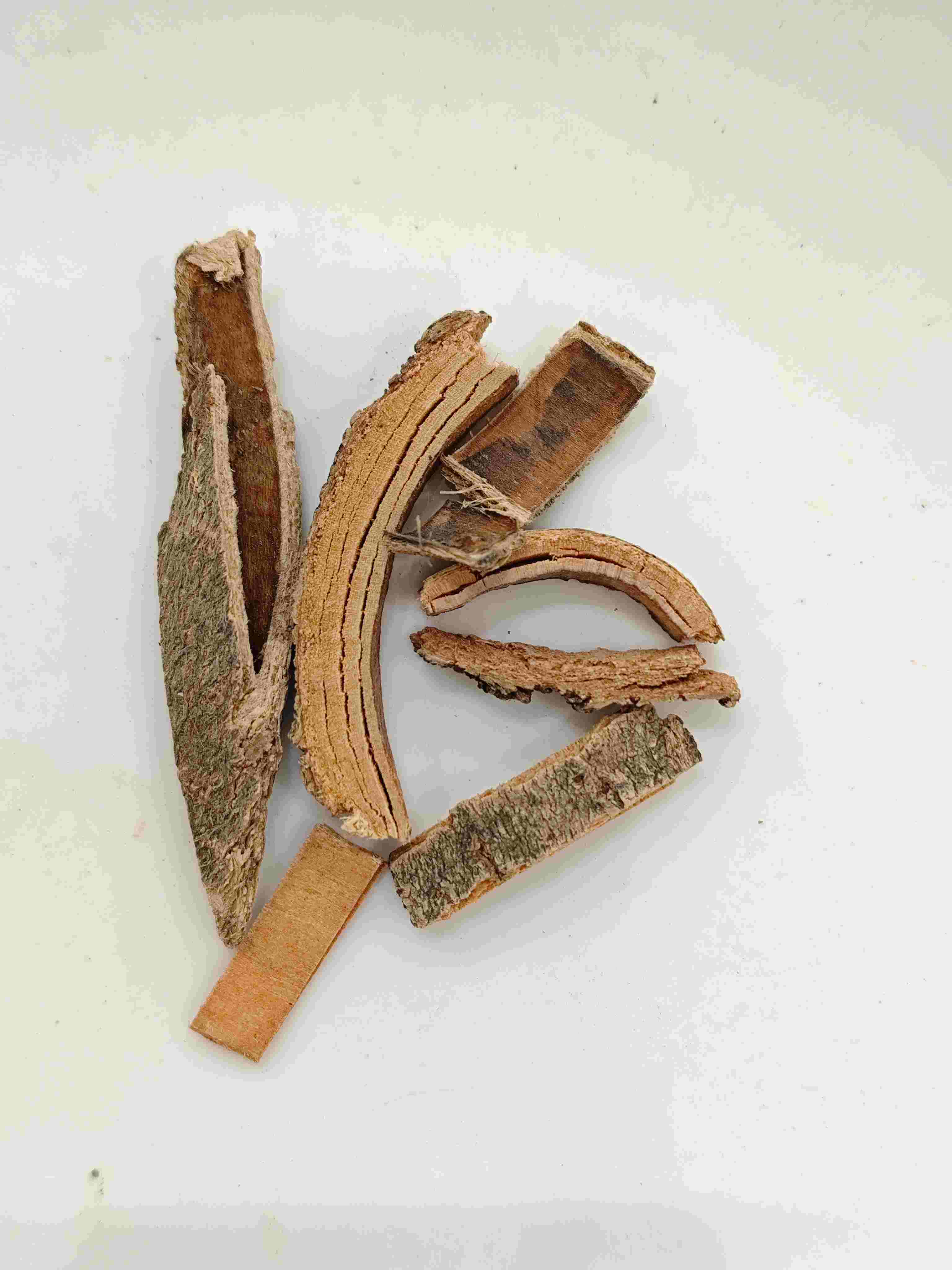لحاء الرماد الصيني (Qín Pí)