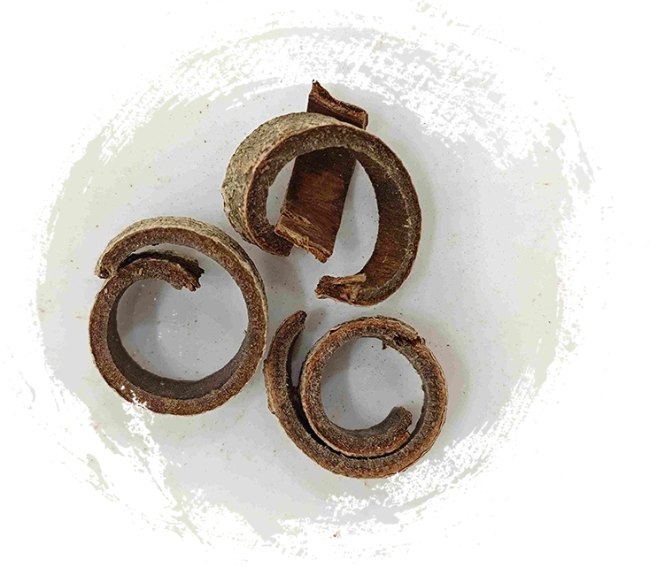 ماجنوليا بارك (hòupò)