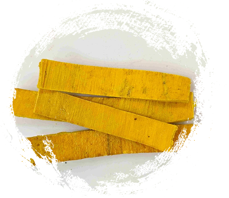 بارك فيلوديدرون (huángbò)