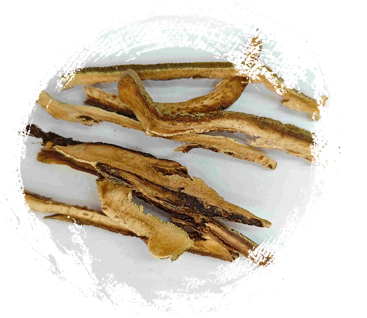 اليوسفي بيل الأحمر (júhóng)