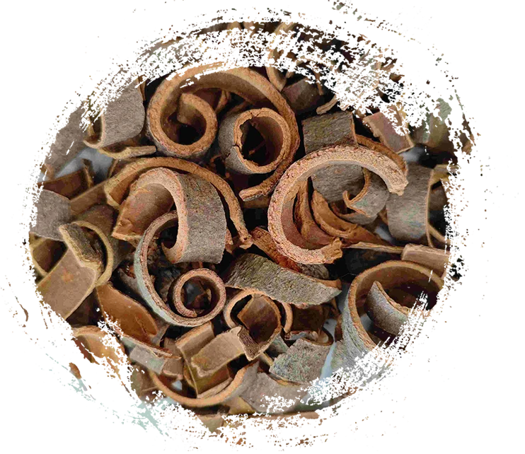 الخصائص والميزات العلاجية الرئيسية لنباتات الأعشاب الطبية الصينية التقليدية