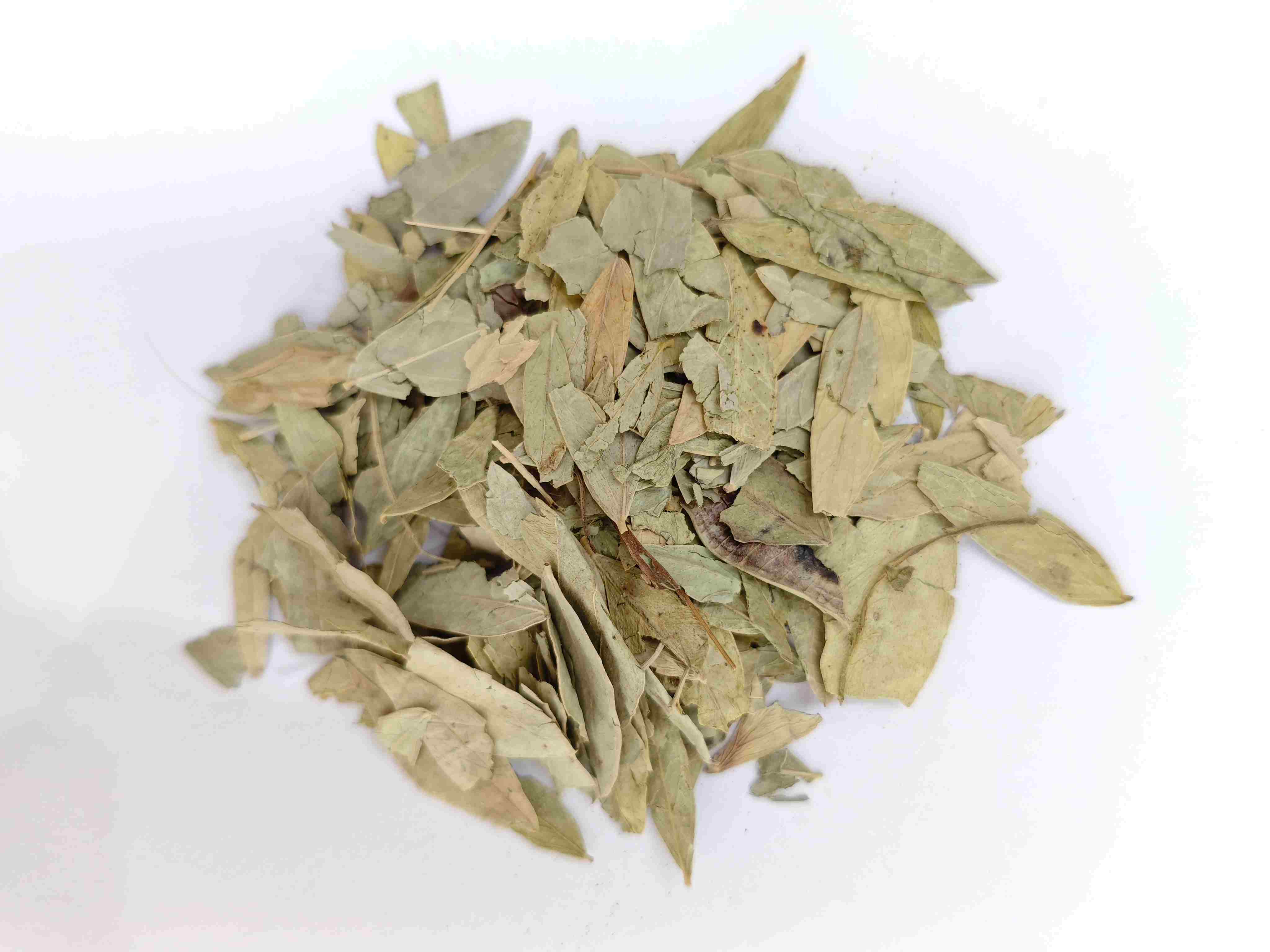 Senna Leaf (fānxiè yè)