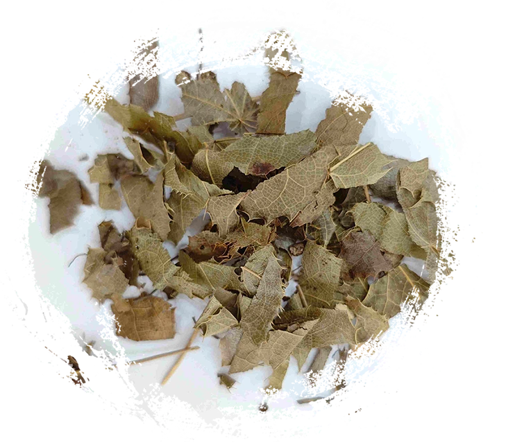 epimedium (yínyáng huò)