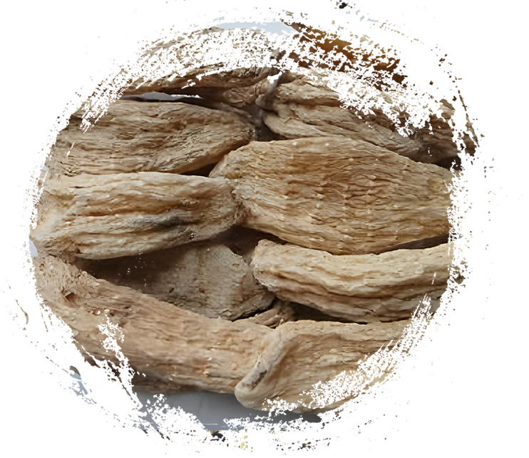 Shennongjia Gattrodia elata من Hubei