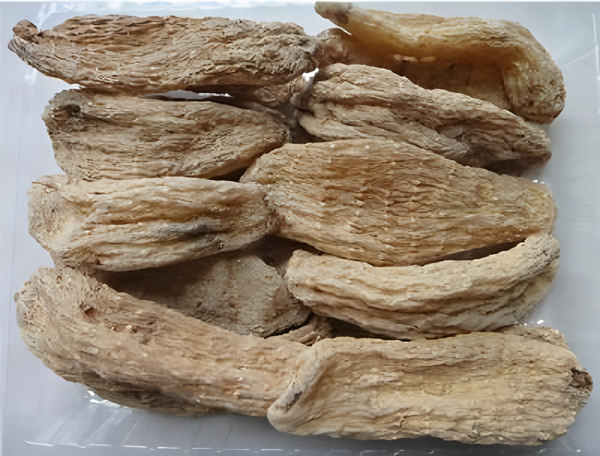 Shennongjia Gattrodia elata من Hubei